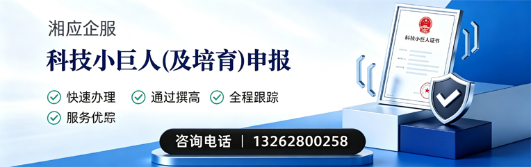 浙江科技小巨人及培育企业申报服务