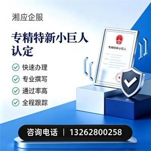 浙江专精特新小巨人申报服务