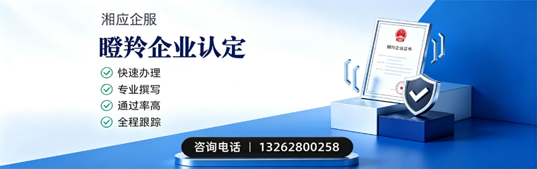 浙江瞪羚企业认定申报服务