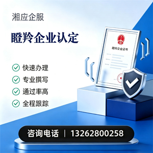 浙江瞪羚企业认定申报服务