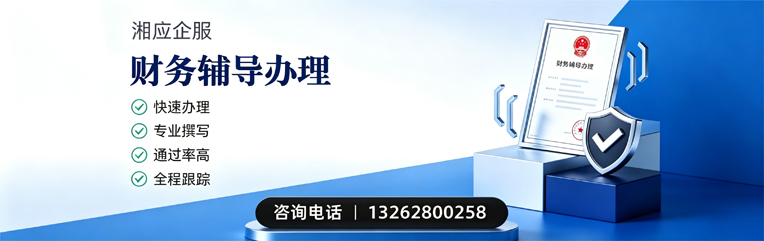 浙江财务辅导申请服务