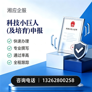 浙江科技小巨人及培育企业申报服务