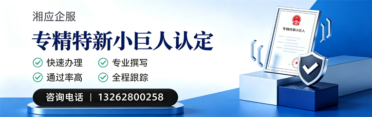 浙江专精特新小巨人申报服务